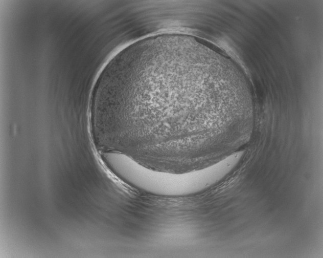 X0000055990955200509092016