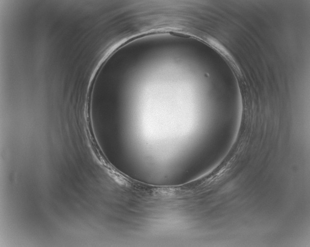 X0000055990956200509092016