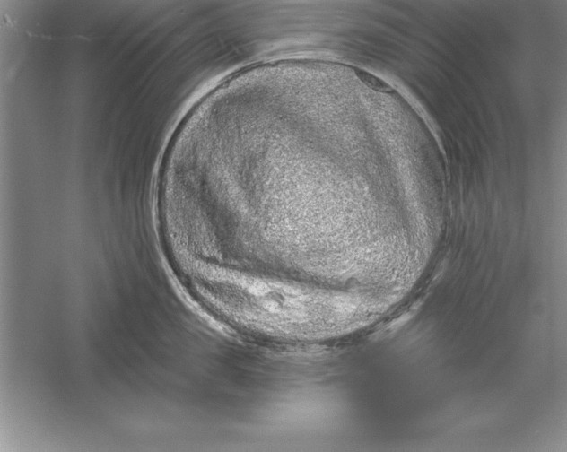 X0000055990957200509092016