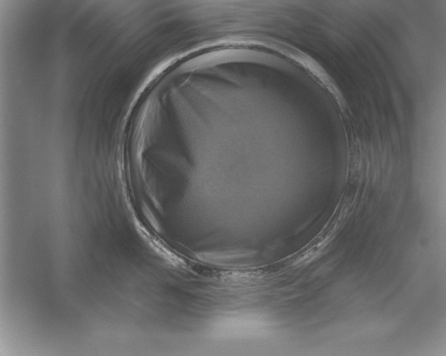 X0000055990958200509092016