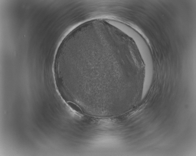 X0000055990959200509092016