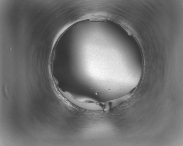 X0000055990960200509092016