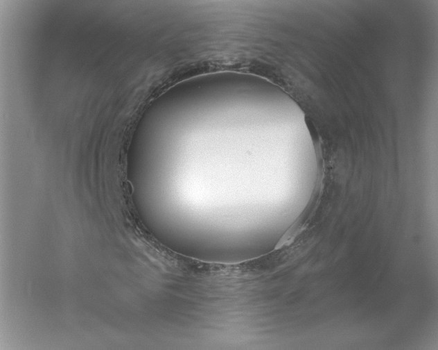 X0000055990961200509092015