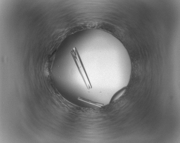 X0000055990962200509092015