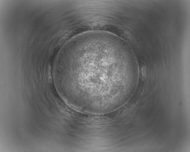 X0000055990963200509092015