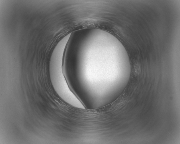 X0000055990964200509092015