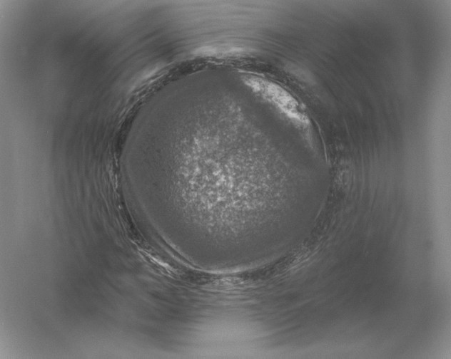 X0000055990966200509092015