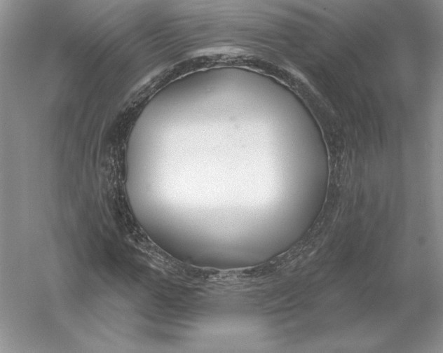 X0000055990967200509092015