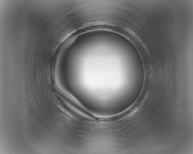 X0000055990969200509092015