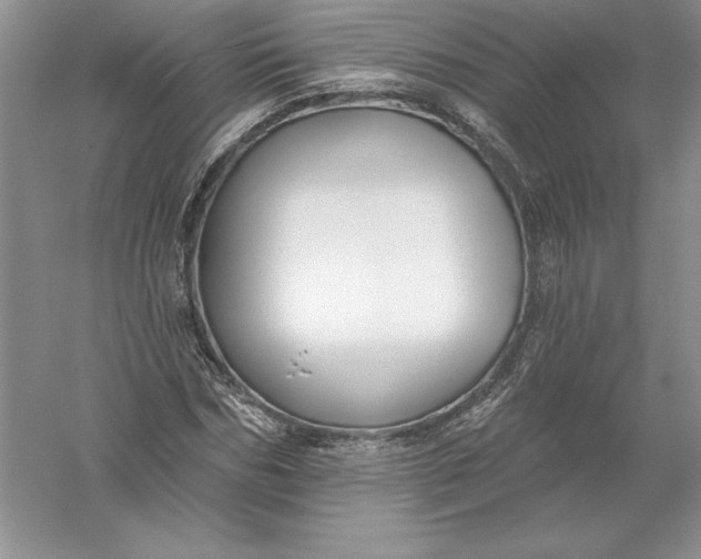 X0000055990970200509092015