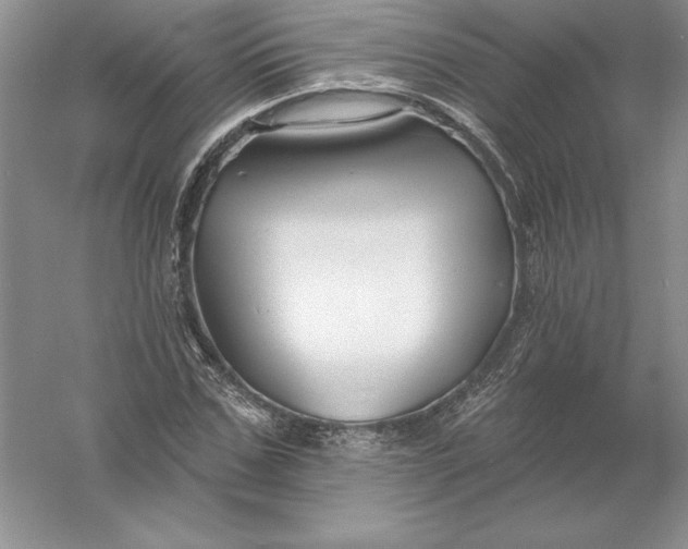 X0000055990971200509092015