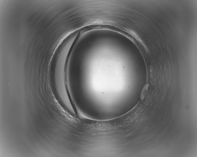 X0000055990972200509092015