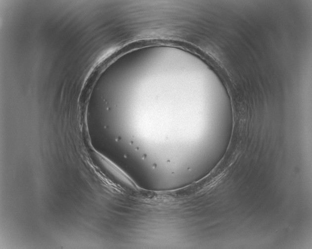 X0000055990974200509092015