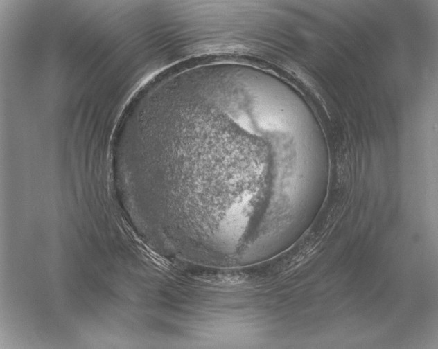 X0000055990975200509092015