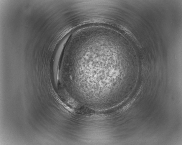 X0000055990977200509092015