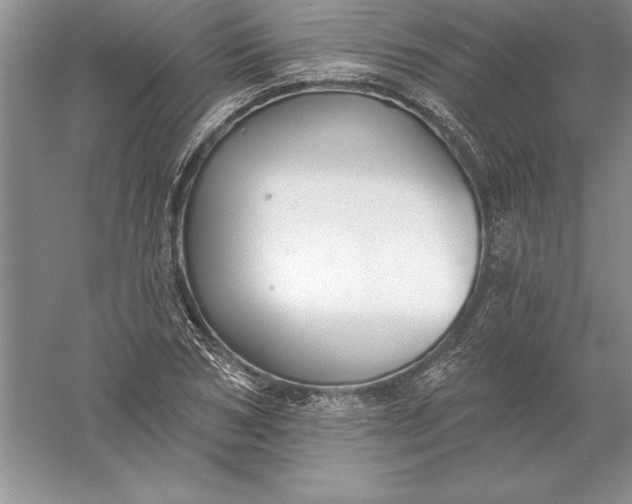 X0000055990978200509092015