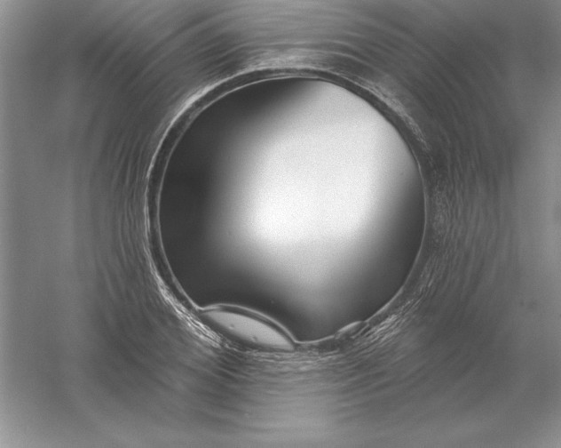 X0000055990980200509092015