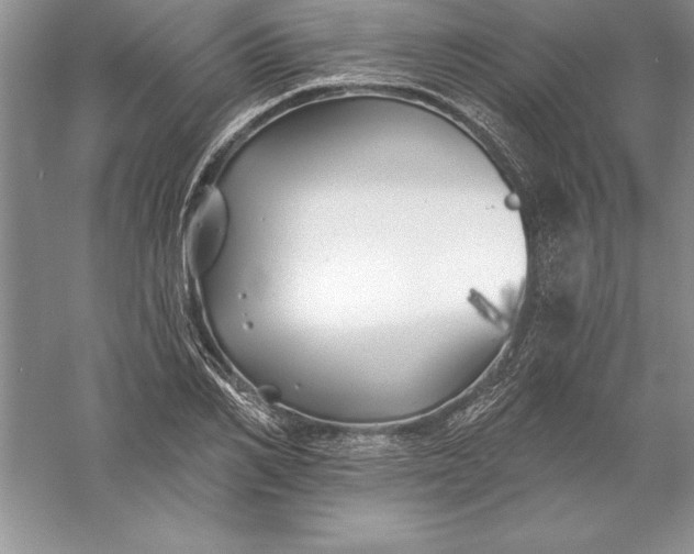 X0000055990982200509092015