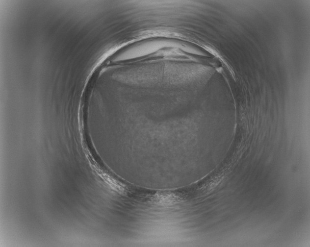 X0000055990983200509092015