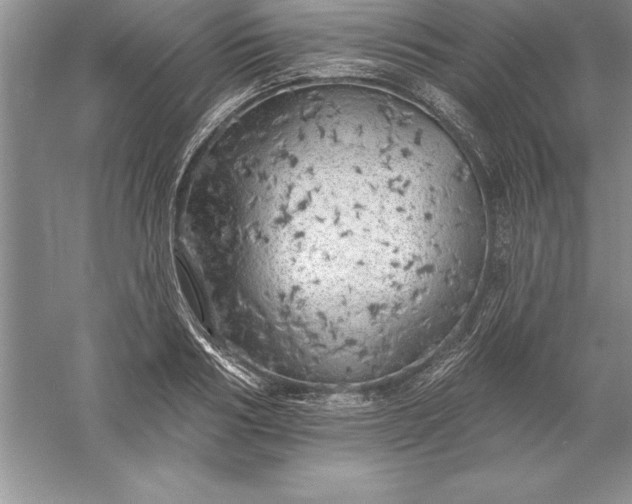 X0000055990986200509092015