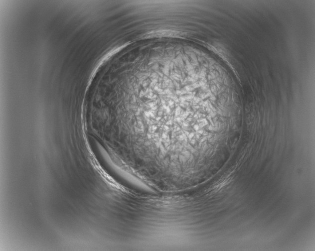 X0000055990987200509092015