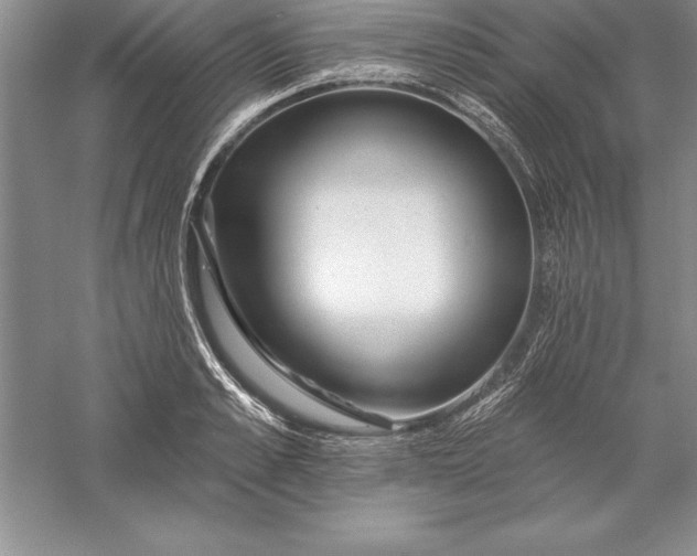 X0000055990989200509092015