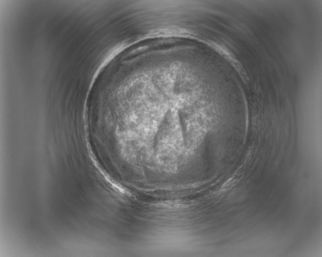 X0000055990990200509092015