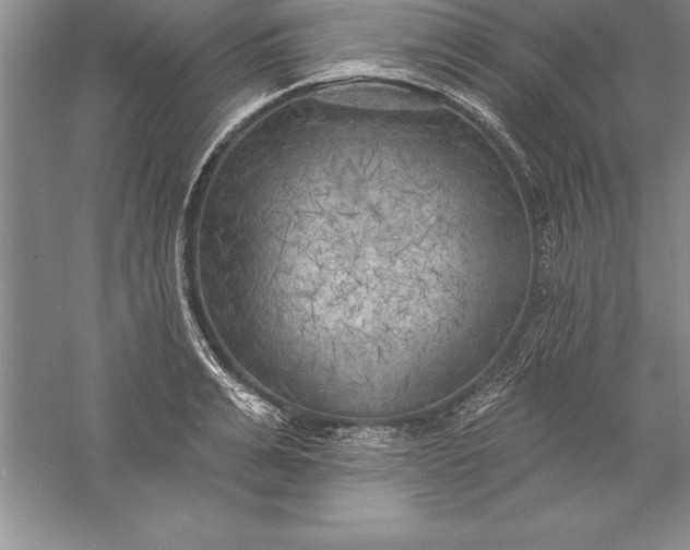 X0000055990991200509092015