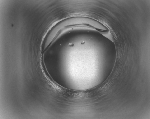 X0000055990992200509092015