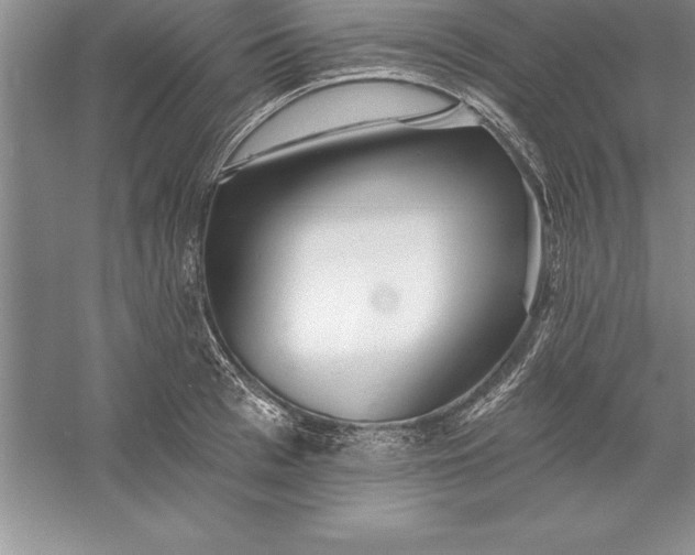 X0000055990993200509092015