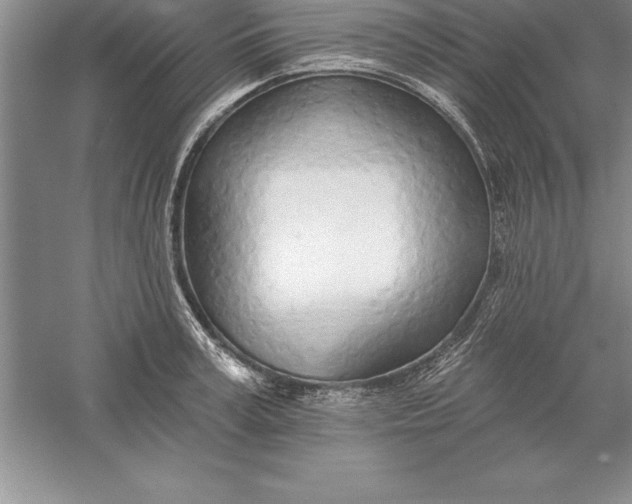 X0000055990995200509092015