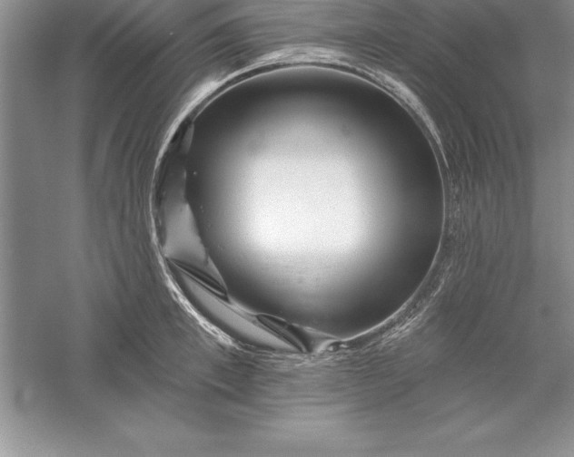 X0000055990997200509092015