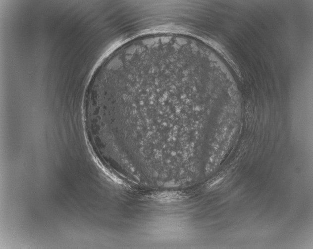 X0000055990998200509092014