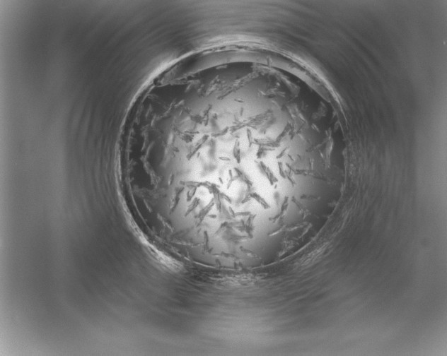 X0000055990999200509092014