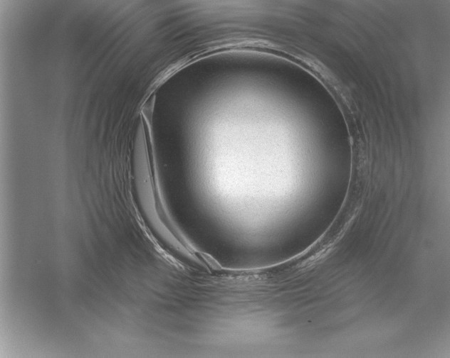 X0000055991001200509092014