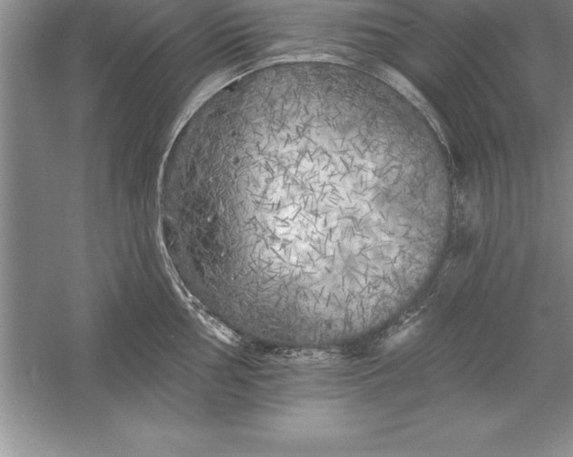 X0000055991002200509092014