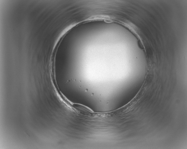 X0000055991003200509092014