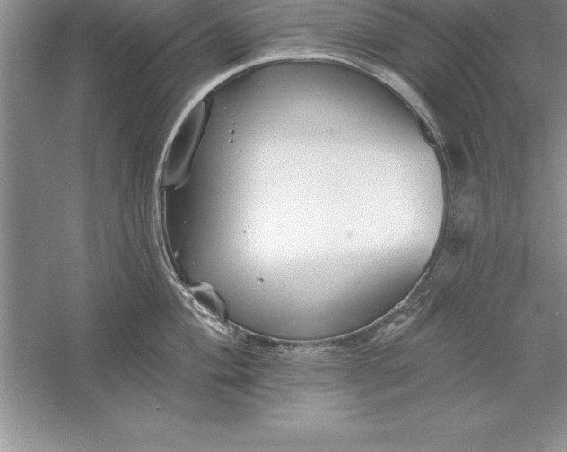 X0000055991004200509092014