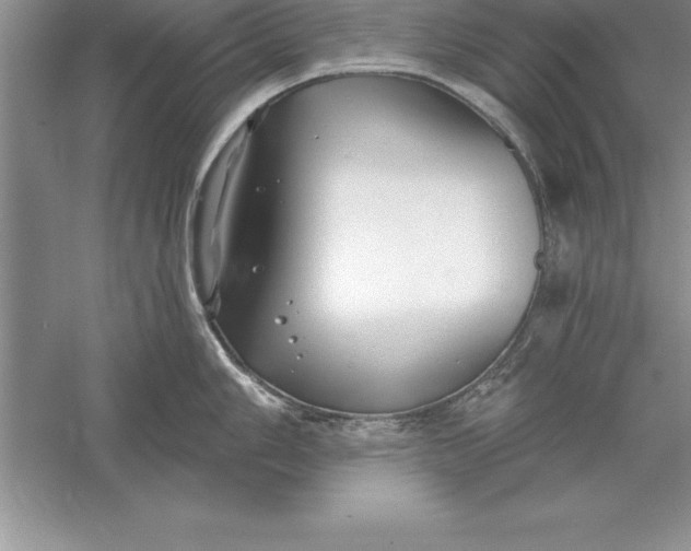 X0000055991006200509092014