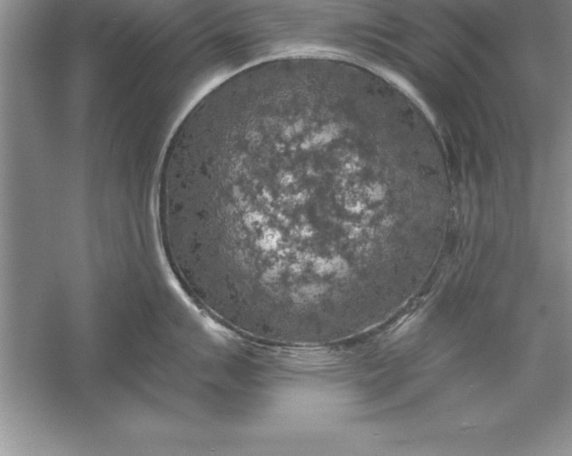 X0000055991007200509092014