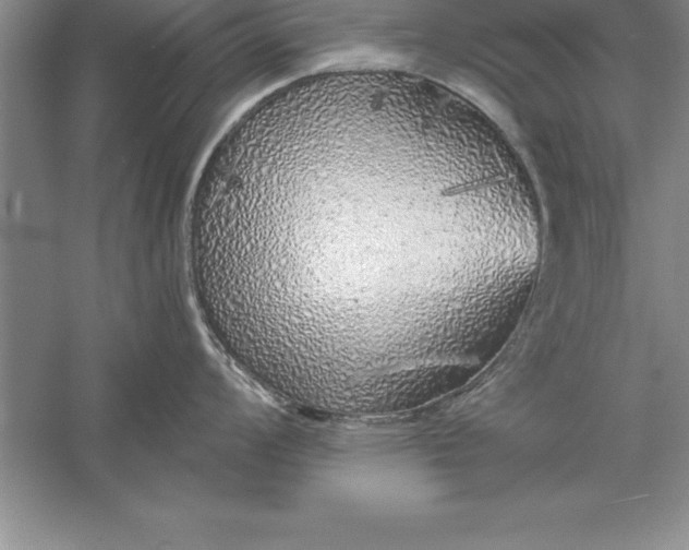 X0000055991008200509092014