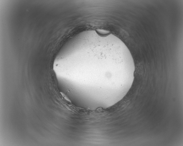 X0000055991009200509092013