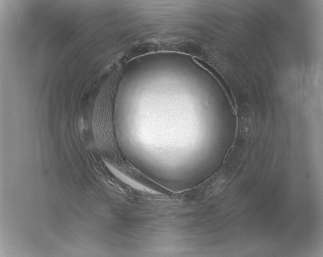 X0000055991010200509092014