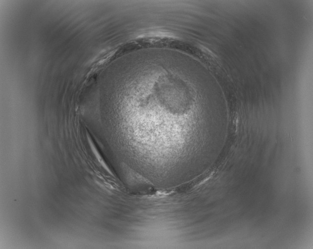 X0000055991014200509092014