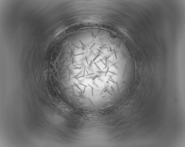 X0000055991015200509092014