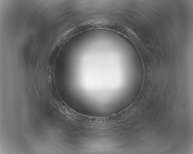 X0000055991016200509092014