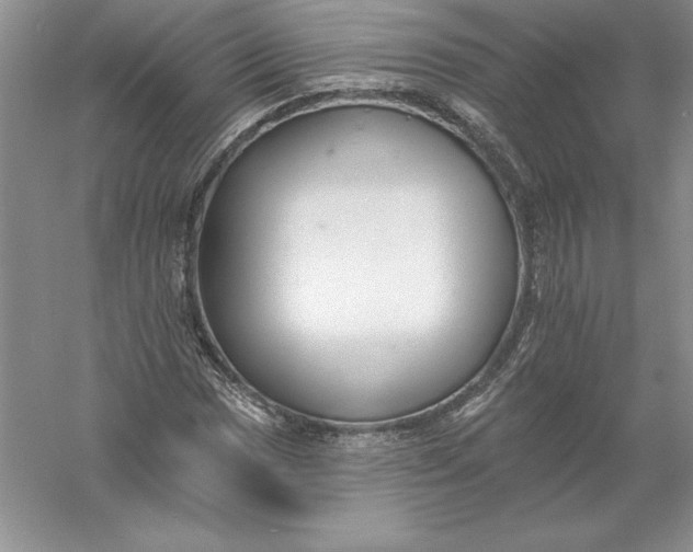 X0000055991017200509092014