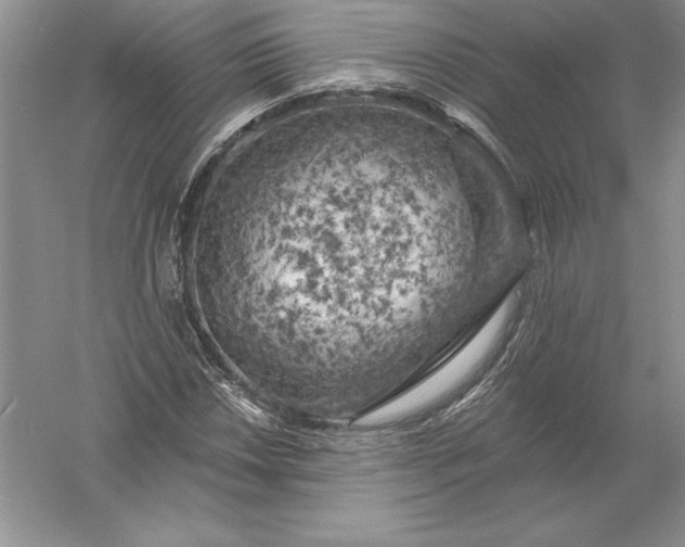 X0000055991018200509092014