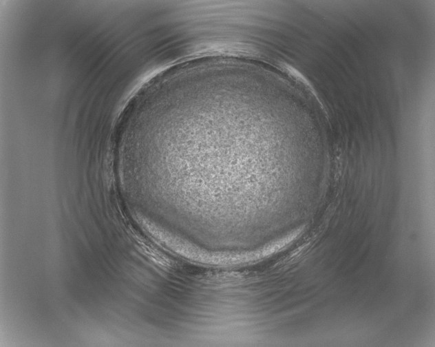 X0000055991019200509092014