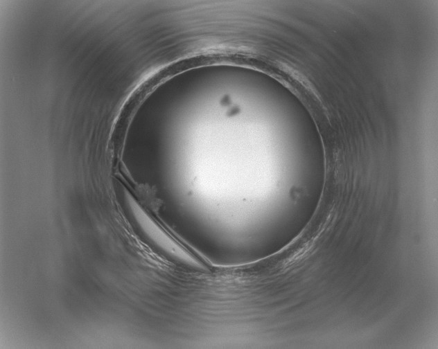 X0000055991021200509092014